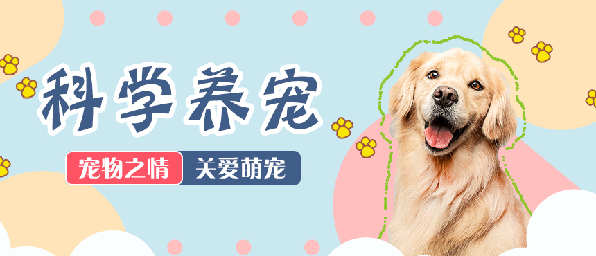 上?？〔什牧峡萍加邢薰酒髽I文化